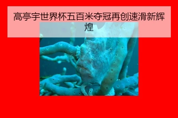 gao-ting-yu-shi-jie-bei-wu-bai-mi-duo-guan-zai-chuang-su-hua-xin-hui-huang-3-138.jpg