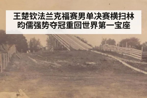 王楚钦法兰克福赛男单决赛横扫林昀儒强势夺冠重回世界第一宝座
